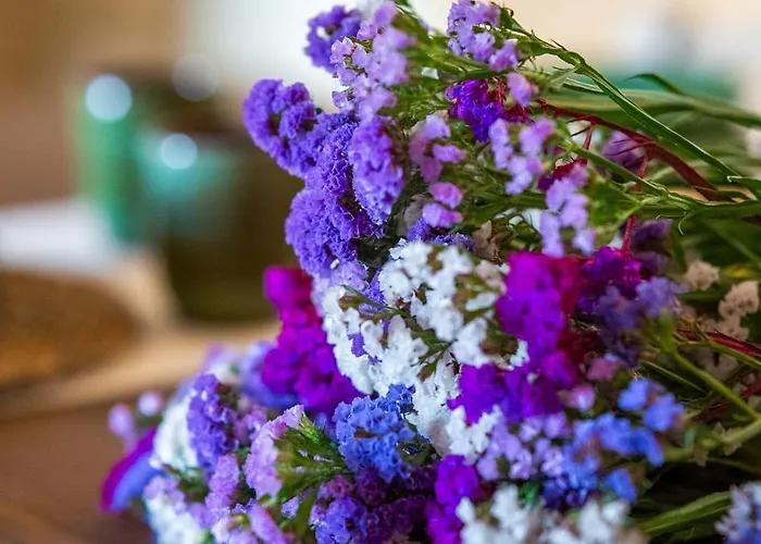 Torre Primaldo 1590 Dc By Professione Vacanze Apartament