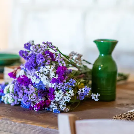 Apartamento Torre Primaldo 1590 Dc By Professione Vacanze