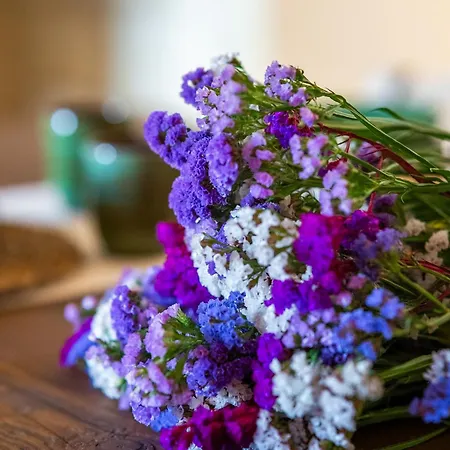 Torre Primaldo 1590 Dc By Professione Vacanze Apartamento